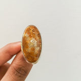'Minimalist' Fossil Coral 925 Solid Sterling Silver Ring