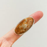 'Minimalist' Fossil Coral 925 Solid Sterling Silver Ring