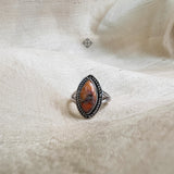 'Designer' Oyster Copper Turquoise 925 Solid Sterling Silver Ring