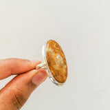 'Minimalist' Fossil Coral 925 Solid Sterling Silver Ring